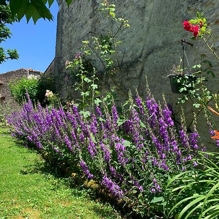 Bed and Breakfast The Cool Lounge A Coulonges - Charente Exteriér fotografie