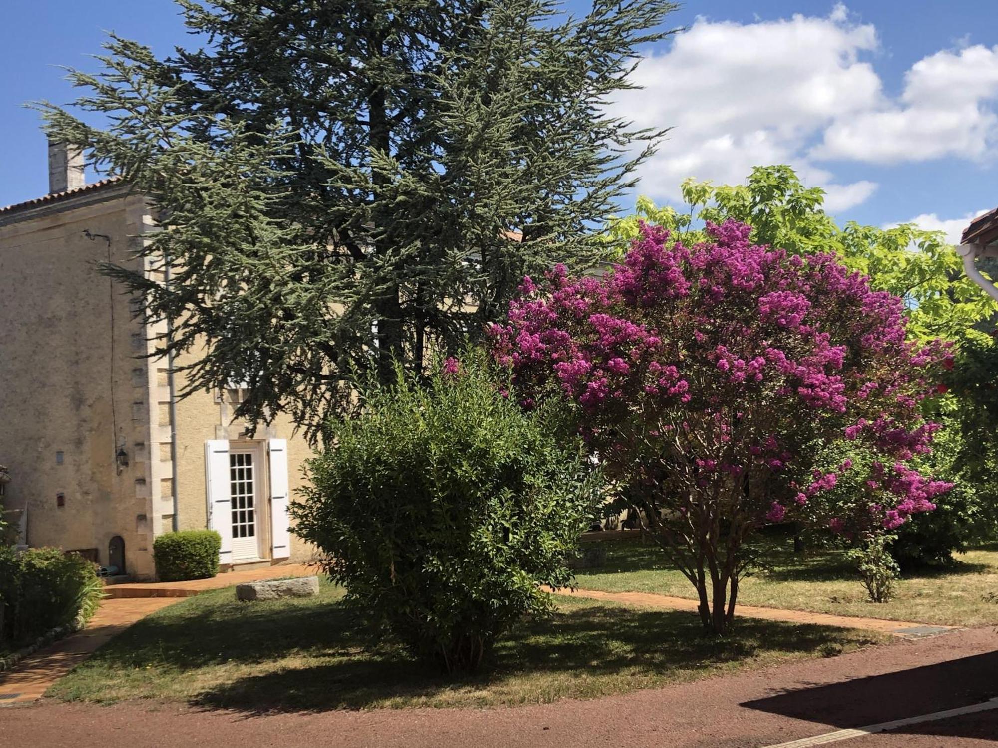 Bed and Breakfast The Cool Lounge A Coulonges - Charente Exteriér fotografie